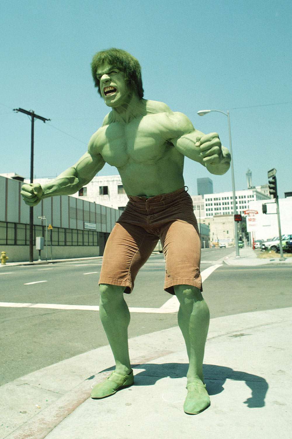 Hulk (Lou Ferrigno)